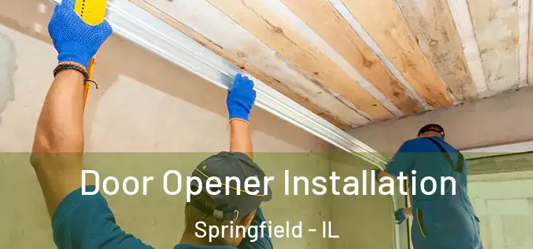  Door Opener Installation Springfield - IL