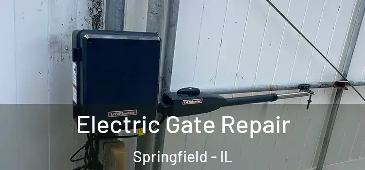  Electric Gate Repair Springfield - IL