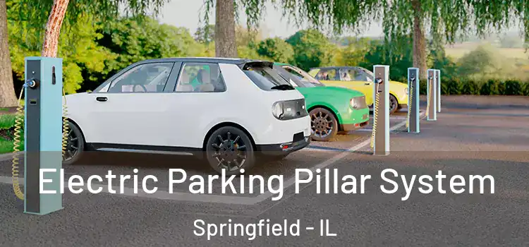  Electric Parking Pillar System Springfield - IL