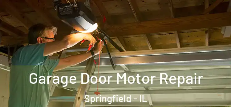  Garage Door Motor Repair Springfield - IL