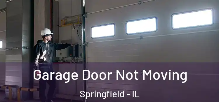  Garage Door Not Moving Springfield - IL