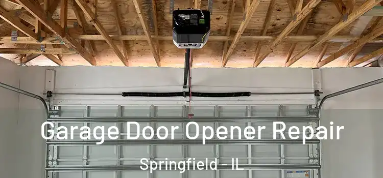 Garage Door Opener Repair Springfield - IL