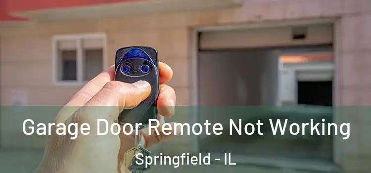  Garage Door Remote Not Working Springfield - IL