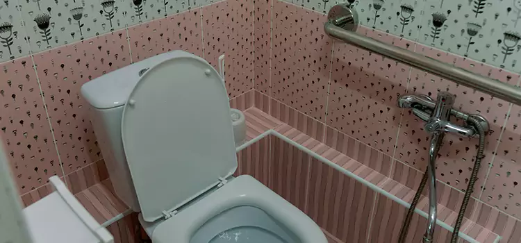 Meeting Diverse Needs With Accessible Restroom Solutions in Springfield, IL