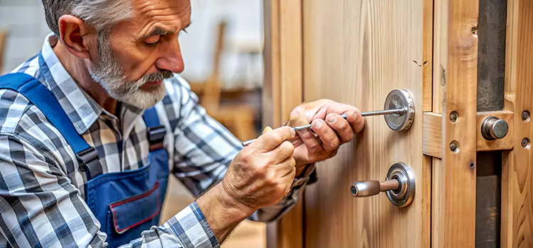 Mortise Replacement Lock Springfield