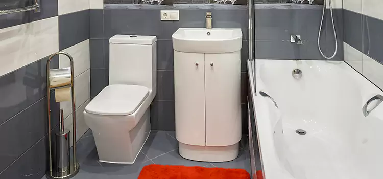 Hansgrohe Shaving Mirror Springfield