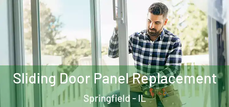  Sliding Door Panel Replacement Springfield - IL