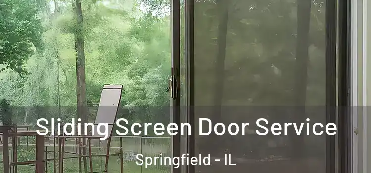 Sliding Screen Door Service Springfield - IL